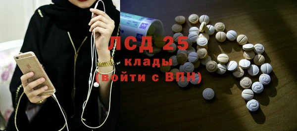 СК Зерноград