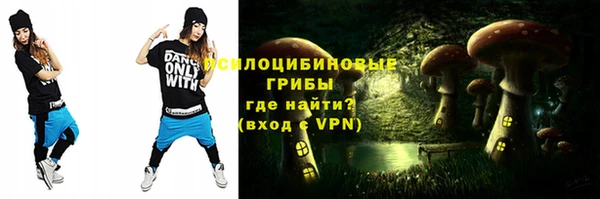 ALPHA PVP Иннополис
