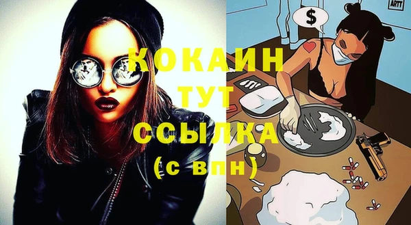 соль ск Зеленодольск