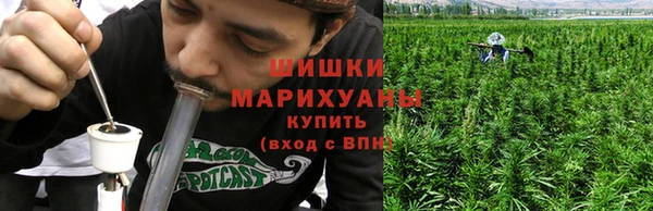 ALPHA PVP Иннополис
