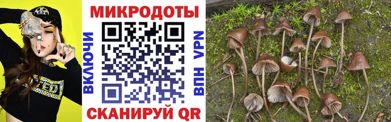 даркнет сайт  Лермонтов  Псилоцибиновые грибы GOLDEN TEACHER 
