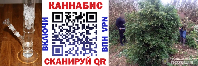 наркошоп  Лермонтов  Марихуана Ganja 